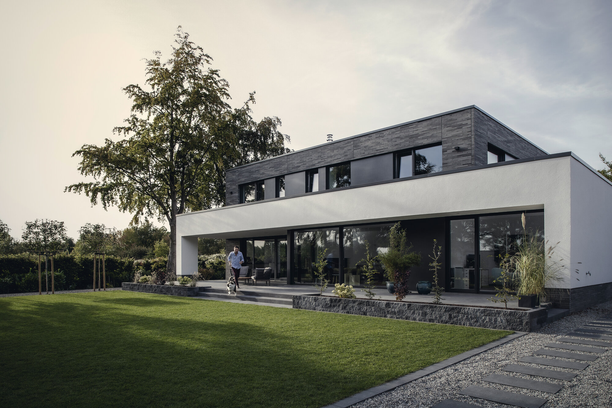 REHAU Synego 80 MD - εικόνα 3
